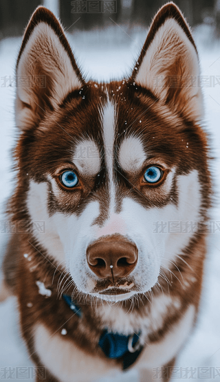 ʿ湷ز