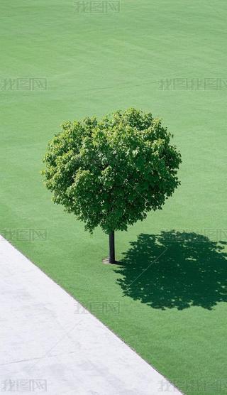 OL󎟘DĘ