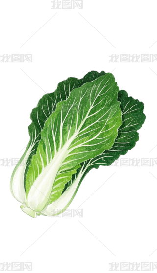 ׵һwײ˵ĈDƬ⓸D