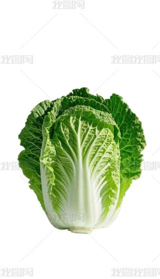 ׵һwײ˵ĈDƬ⓸D