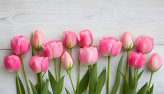 µķۼtɫԭʼİɫƽչʾ