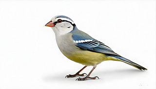 µİɫRȸ(yu)ŵؗϢȻh(hun)