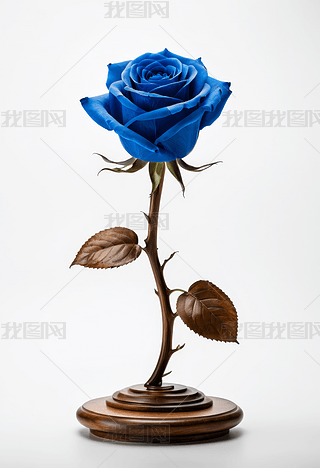 {(ln)ɫok`֮۵{(ln)ɫõ