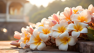 ĸH(ji)͋DŮ(ji)c(dng)ķ۲ʻb