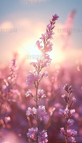 Ϧµĉɫ