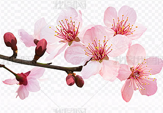 ۾`ŵһ宋