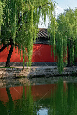 tGԊ⮋퍼tµɫ¸DƬ