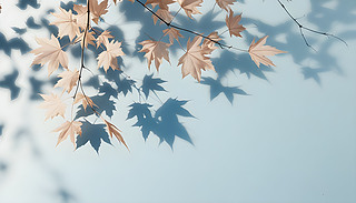 o{(ln)ɫ~ӳro{(ln)ɫ