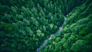 ?k)oϪѴ^(gu)ɫ_ɭȻ