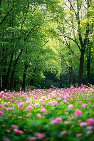 ɭһƬۼtɫĻľïDƬ