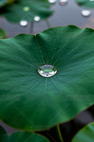 ڳˮΌ~ĞƽظDƬ