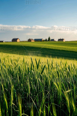 һƬG݅،rDƬ