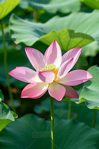 XķۼtɫĳSɫ܇h(hun)@Gɫ~