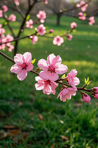 ݅еĘ֦һۼtɫĻDƬ
