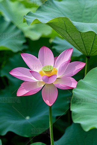 XķۼtɫĳSɫ܇h(hun)@Gɫ~