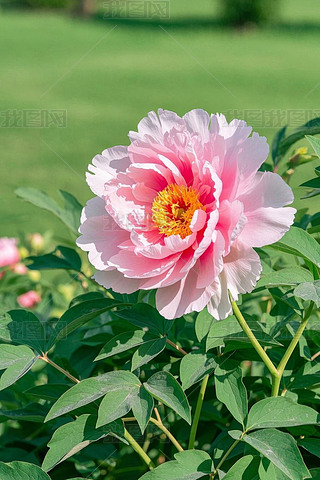 @һۼtɫĻھ`ŸDƬ