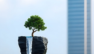 ٲ߅L(zhng)(jin)gĘľch(yun)̎I(y)Ħ