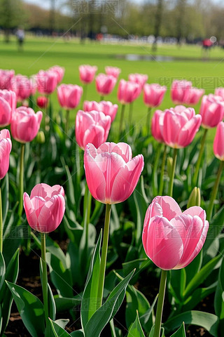 ɫһƬGݵع@DƬ