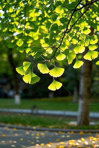 @һØ،~ӸDƬ