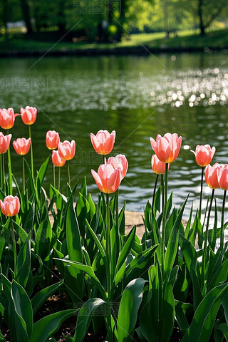 @ĺǰrʢ_(ki)DƬ
