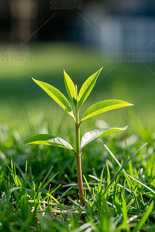Lڹ@݅еֲDƬ