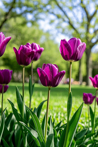 ɫھG݅ИľDƬ
