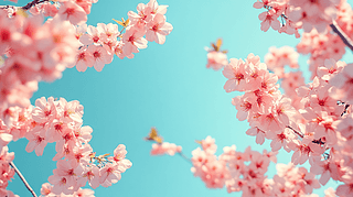 ˮ۸мyزĈDPPTز̏Vز