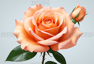 ɫõă(yu)ž`һõĜZ