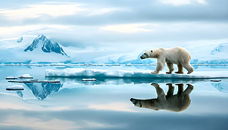 ڻϵıOcO^ĵӰչʾ׃