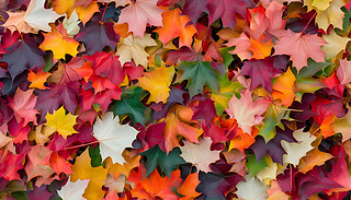 ɫ_~ɹ(ji)ջh(hun)cף֮