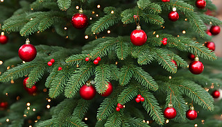 WWl(f)ʥQbƷWqğWWl(f)