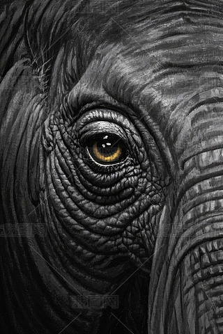 һɫĴ۾،DƬ