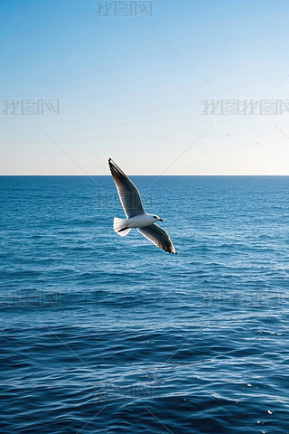 wԽε{DƬ