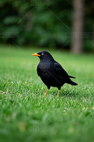 @ĲݵվһֻɫB(nio)DƬ