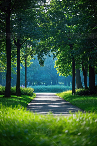 ^ľͲݵع@С·ľɫDƬ