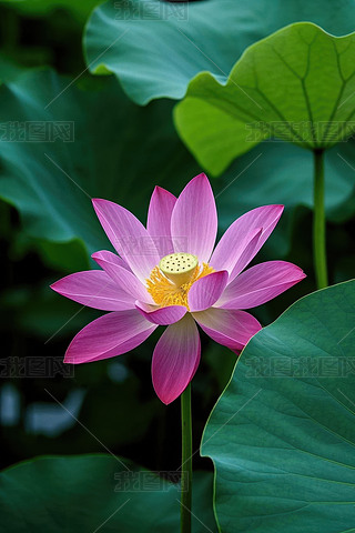 XķۼtɫĳSɫ܇h(hun)@Gɫ~