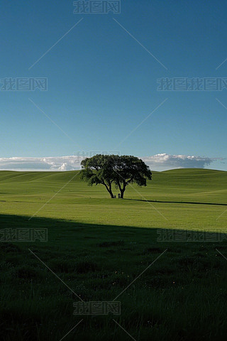 һƬ{(ln)ҰһùDƬ