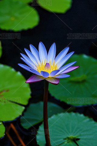 X{ɫSɫ܇h(hun)@Gɫ~Ӹ