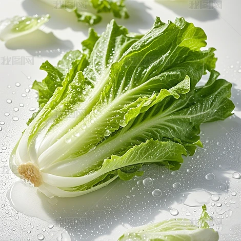 ز