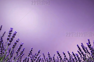 o۽⵭ɫAȦΠDƬ