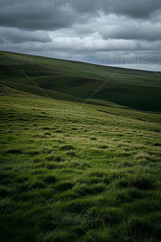 ܲһֻª(d)ĲݵظDƬ