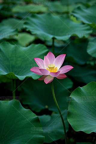 XķۼtɫĳSɫ܇h(hun)@Gɫ~