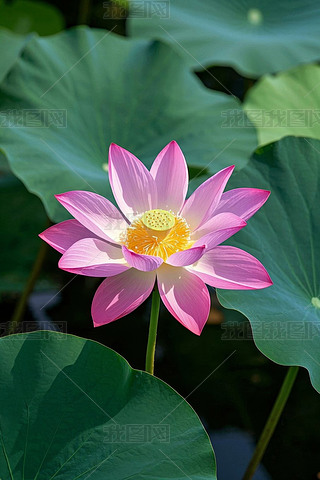 XķۼtɫĳSɫ܇h(hun)@Gɫ~