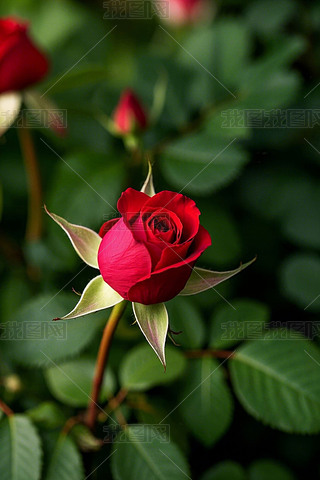 @һtõھ`ŸDƬ