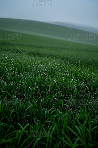 ݵһֻª(d)İBwDƬ