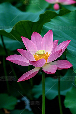 XķۼtɫĳSɫ܇h(hun)@Gɫ~