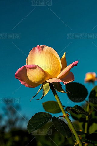 oһSɫõзۼtɫĻDƬ