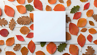 ִİɫâ~ǳmτ(chung)