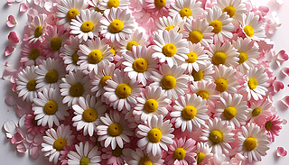 rO(sh)Ӌ(j)ȫMЂf(i)cC(j)