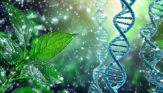 ͨ^ƌWо̽DNA